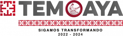 Municipio de Temoaya - Logo